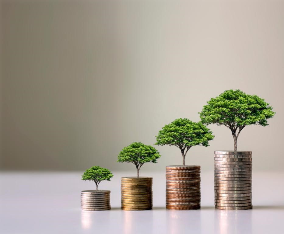 BUSINESS ENGLISH – INVESTMENT